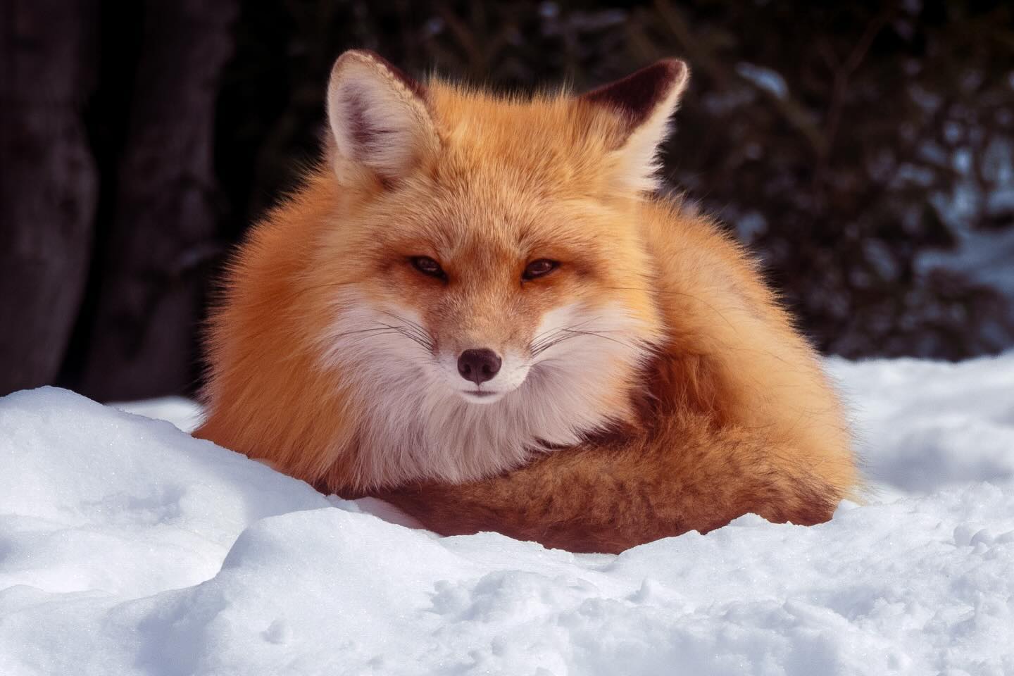 Photograph by Charlotte Gaillard