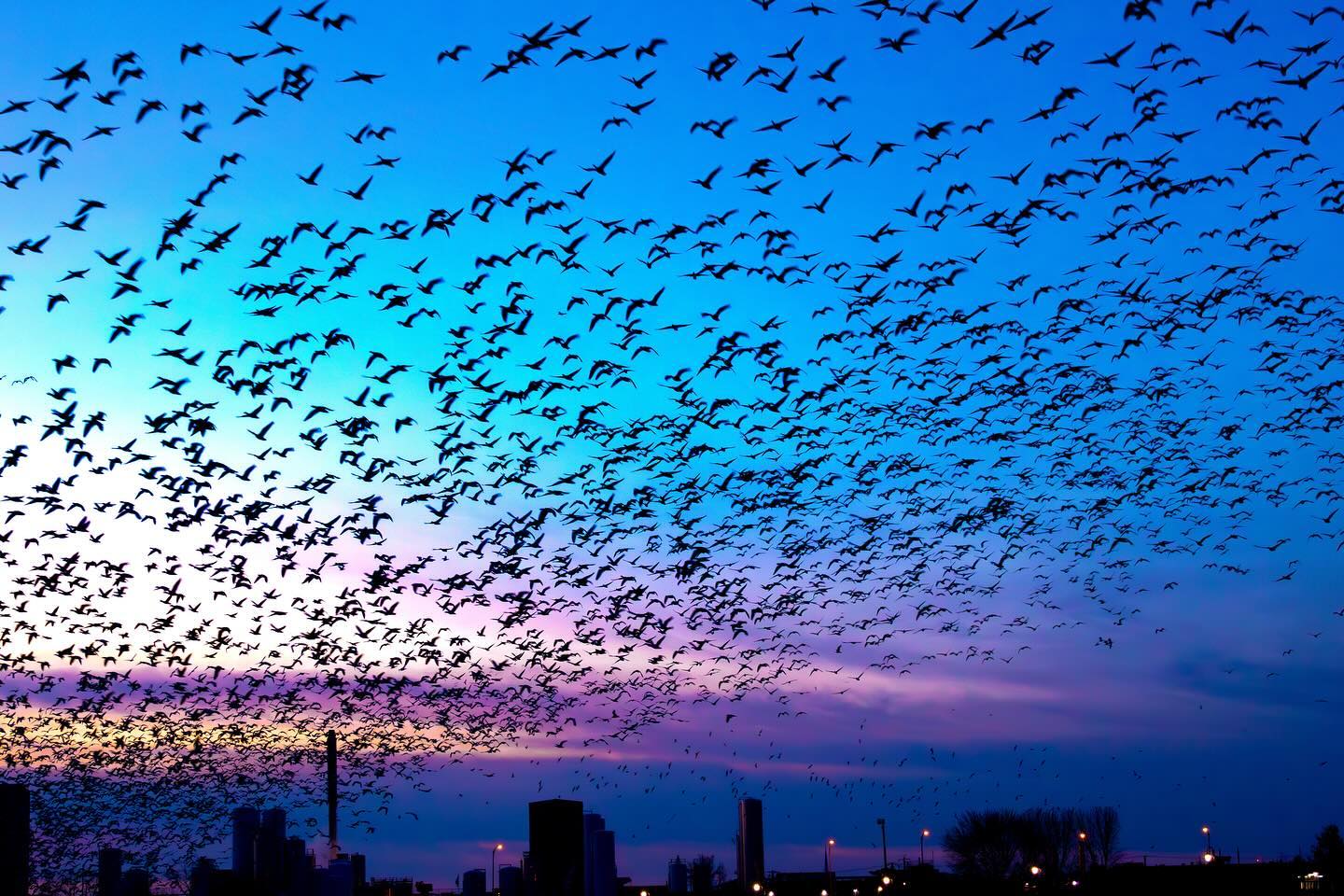 Photograph by Charlotte Gaillard