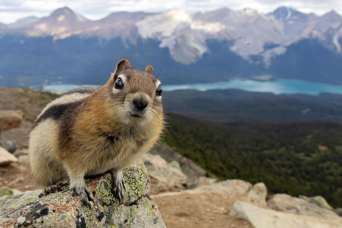 Photograph by Charlotte Gaillard