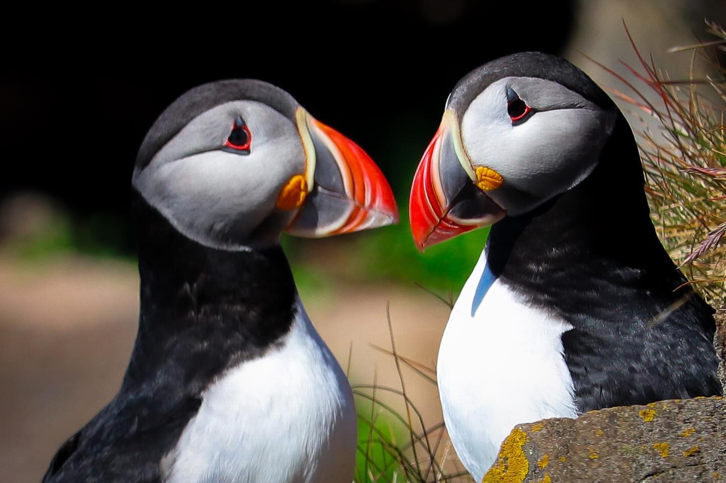 Photograph by Charlotte Gaillard