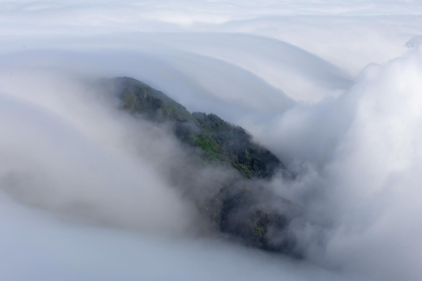 Photograph by Charlotte Gaillard