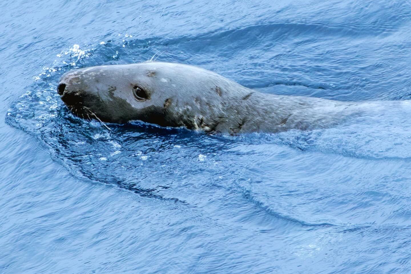 Photograph by Charlotte Gaillard