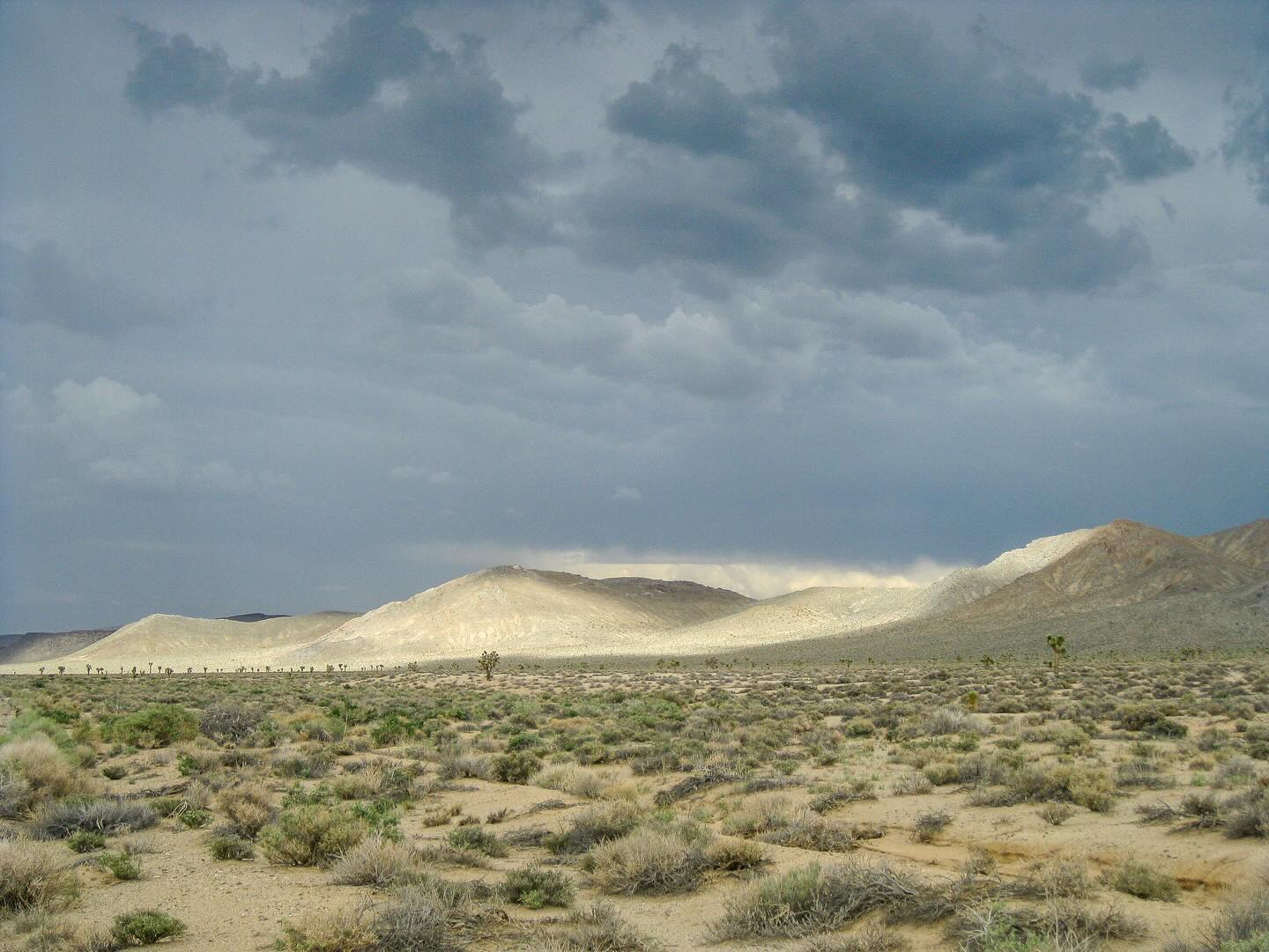 Photograph by Charlotte Gaillard