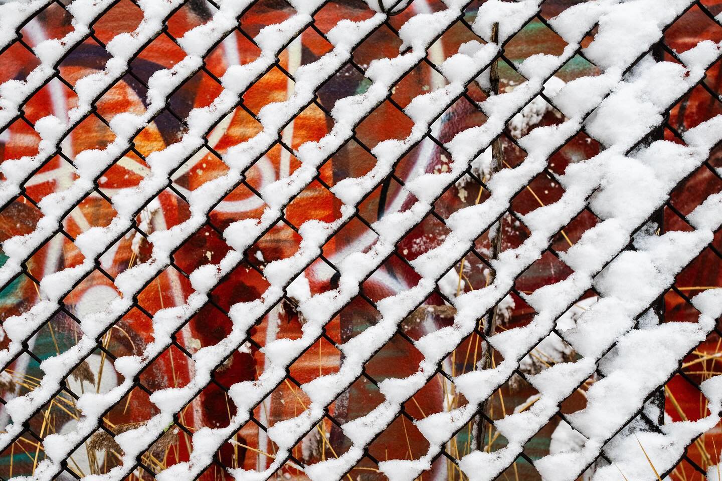 Photograph by Charlotte Gaillard