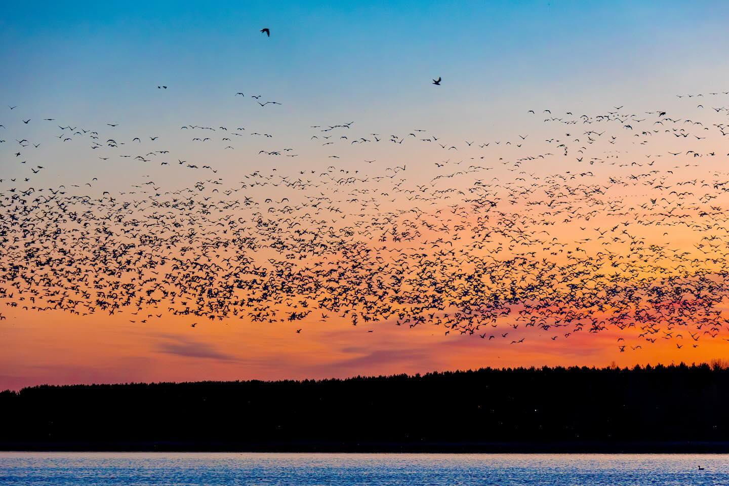 Photograph by Charlotte Gaillard