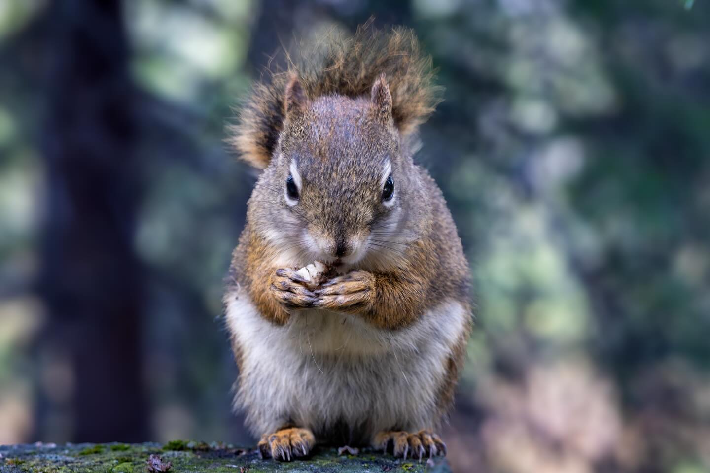 Photograph by Charlotte Gaillard