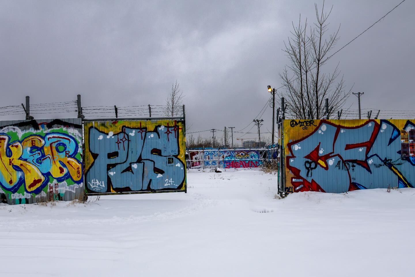 Photograph by Charlotte Gaillard