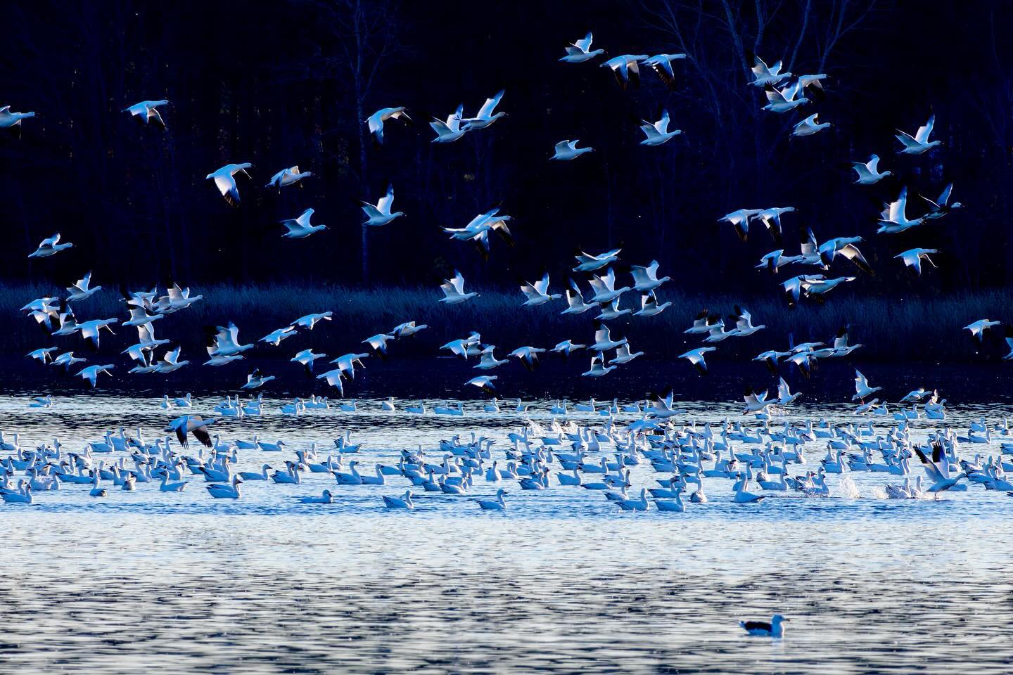 Photograph by Charlotte Gaillard