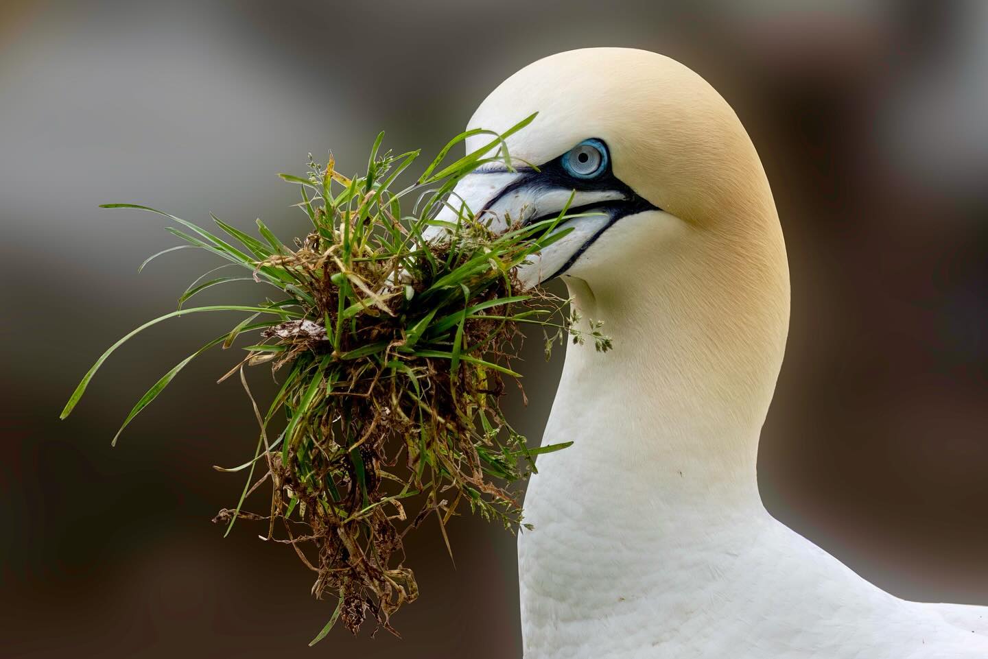 Photograph by Charlotte Gaillard