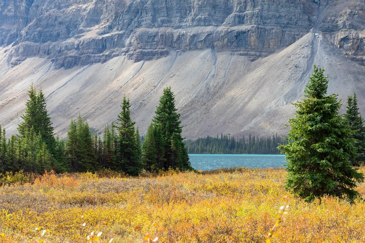 Photograph by Charlotte Gaillard