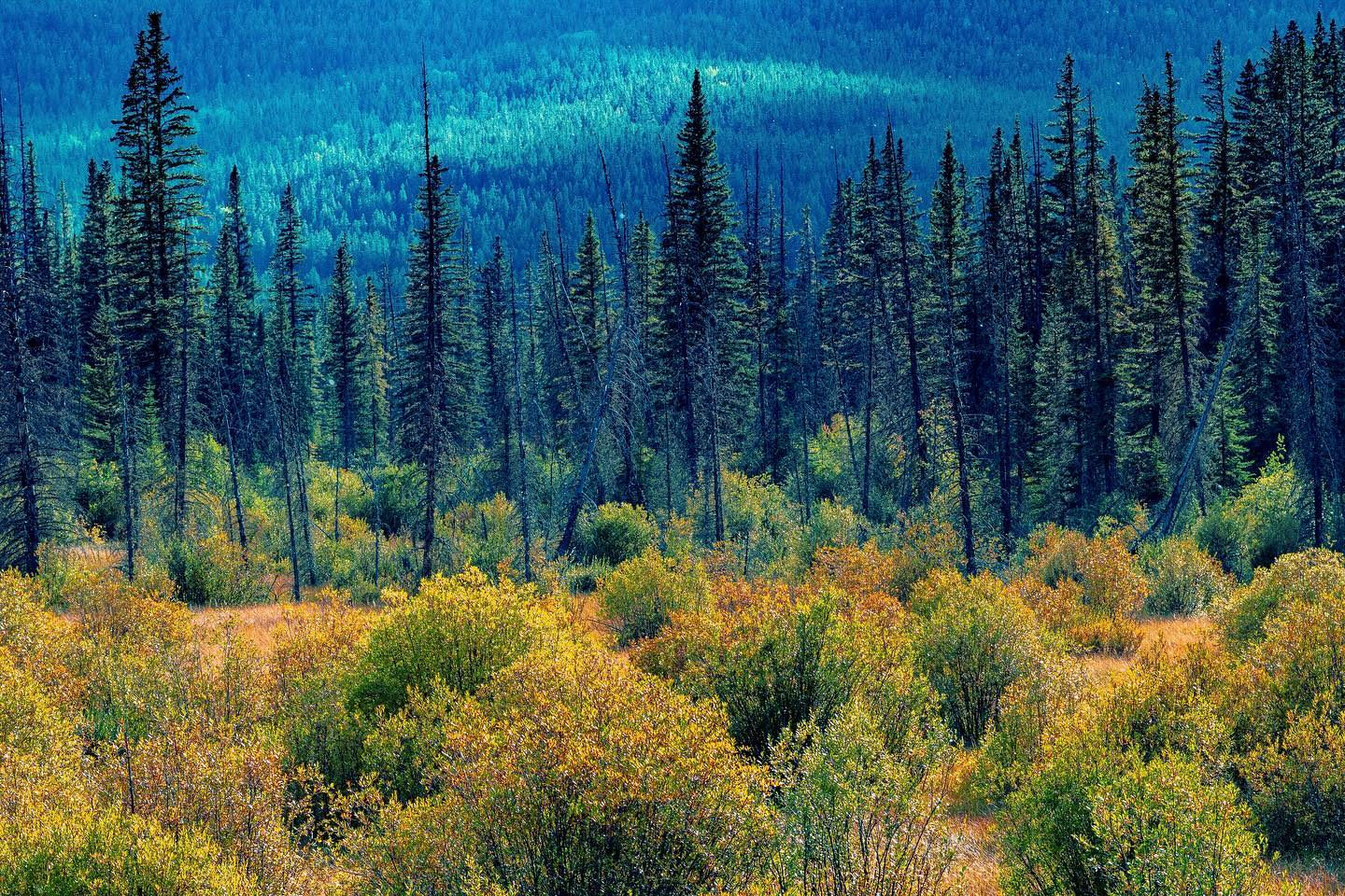 Photograph by Charlotte Gaillard