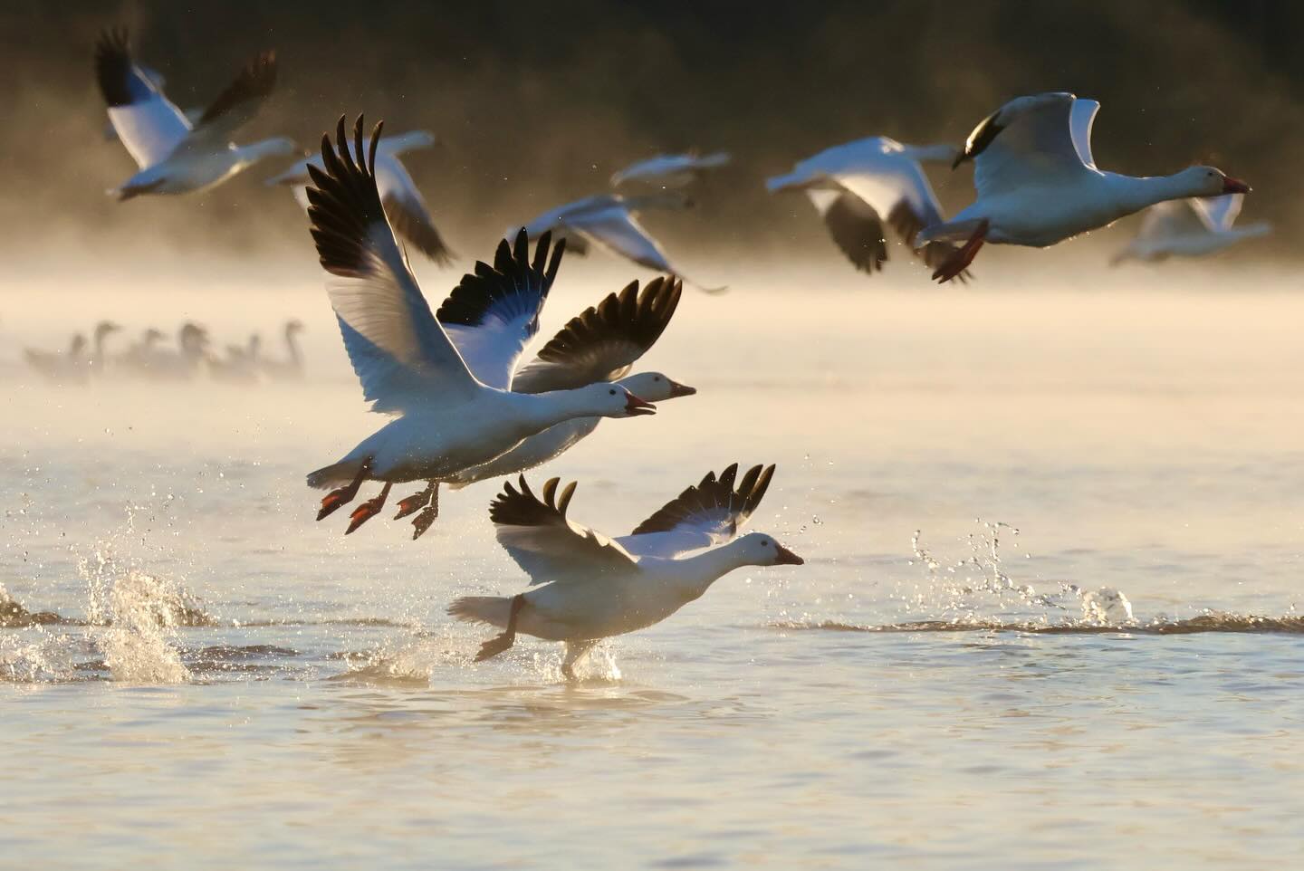 Photograph by Charlotte Gaillard