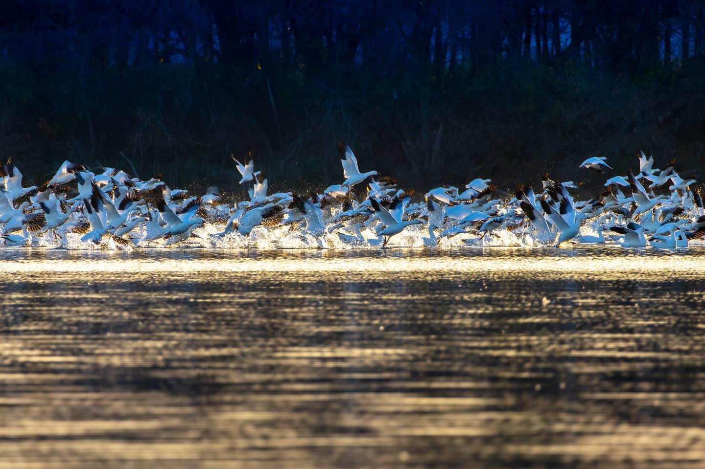 Photograph by Charlotte Gaillard