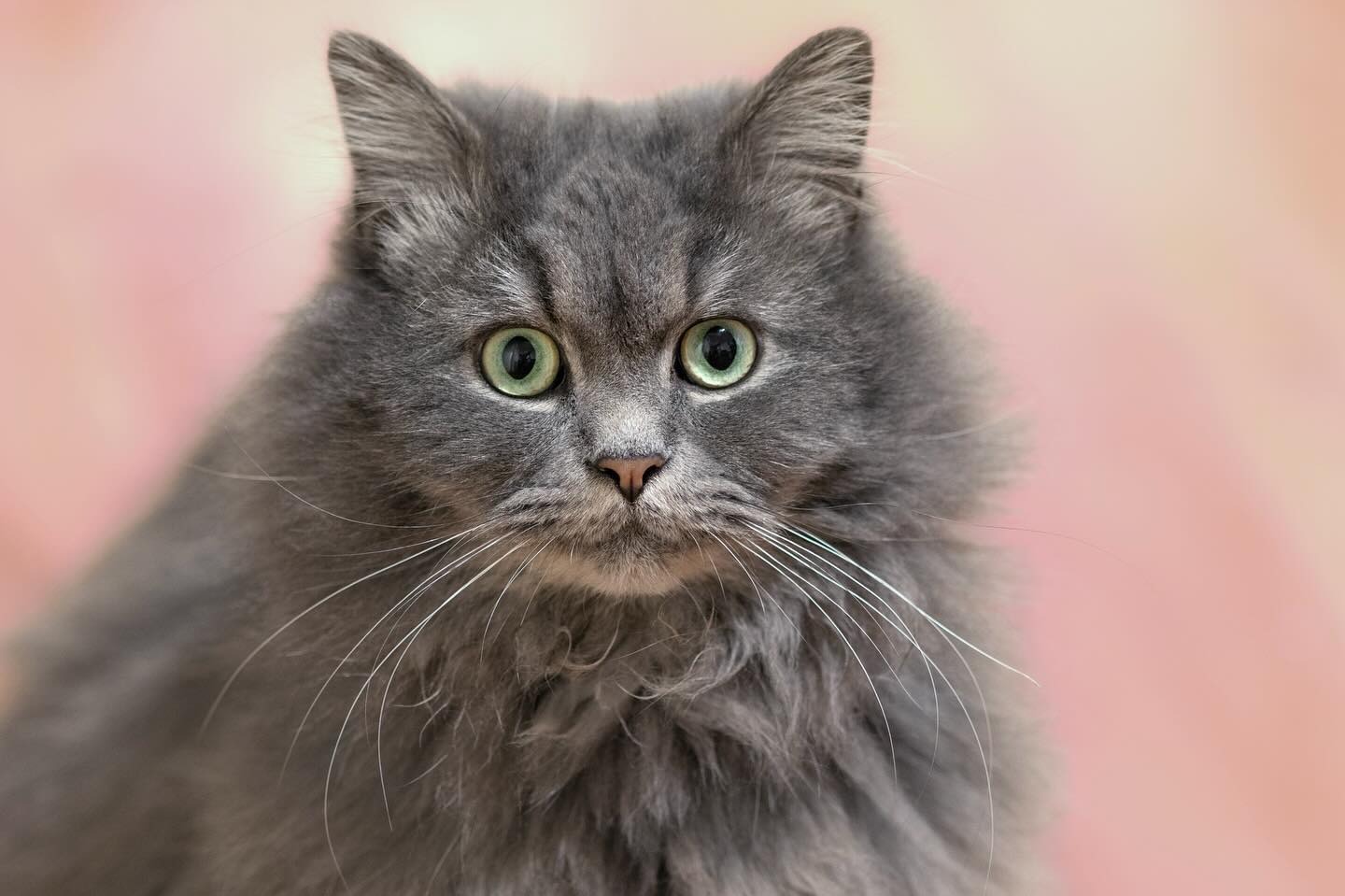 Photograph by Charlotte Gaillard