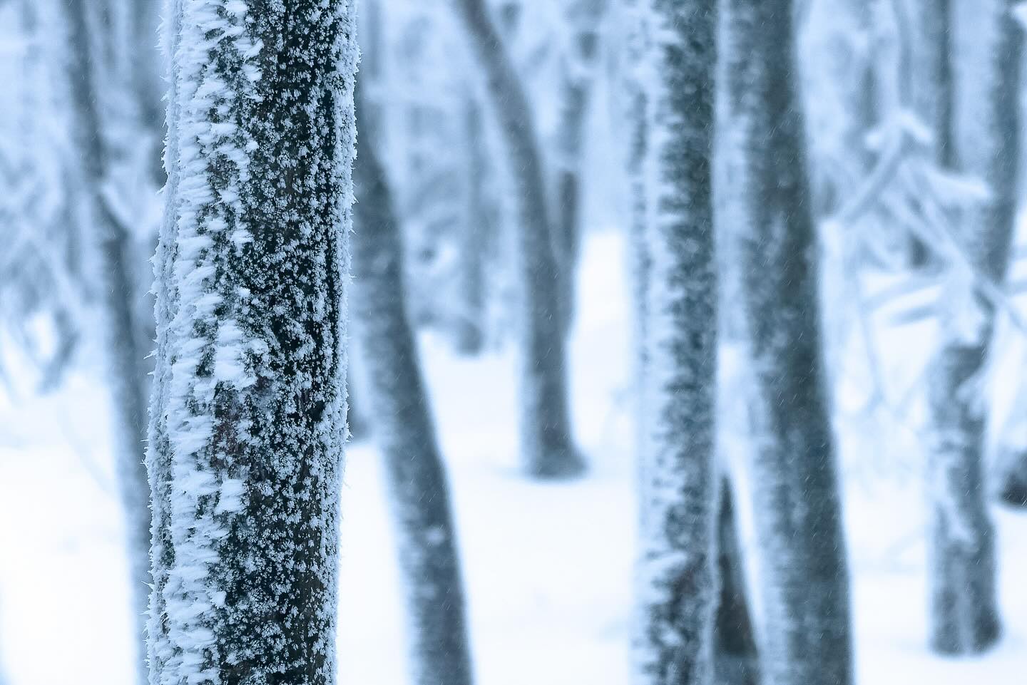 Photograph by Charlotte Gaillard