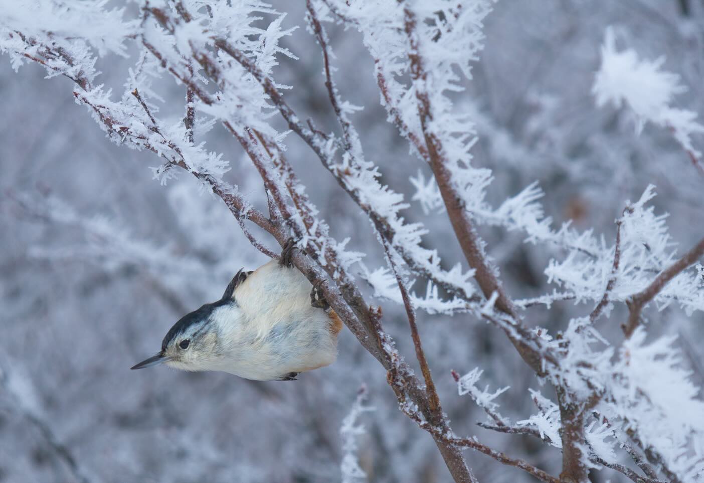 Photograph by Charlotte Gaillard
