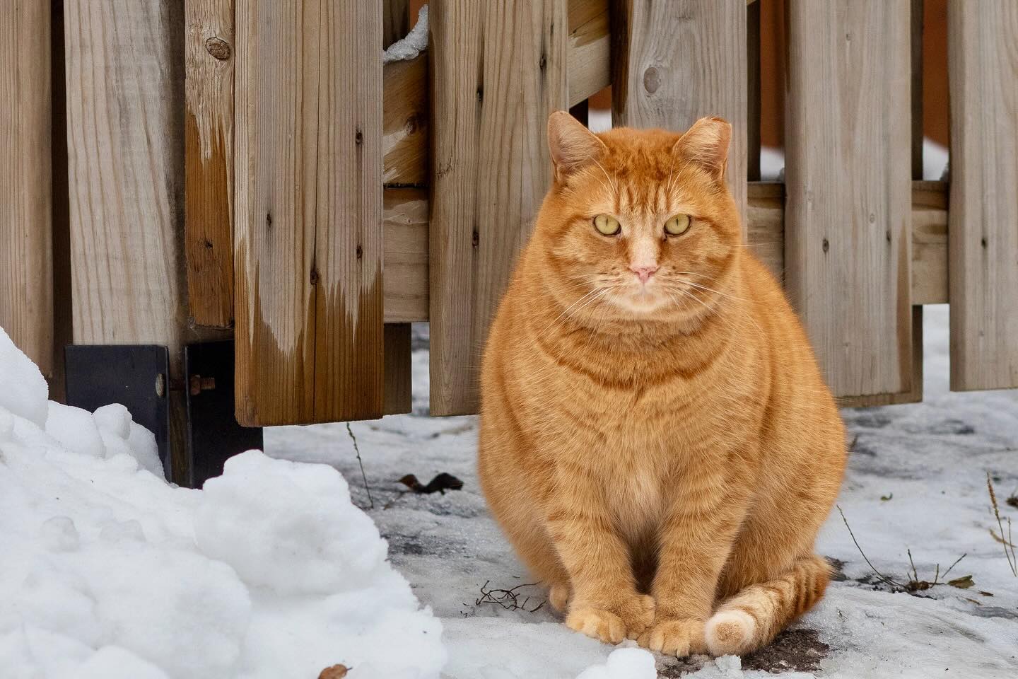 Photograph by Charlotte Gaillard