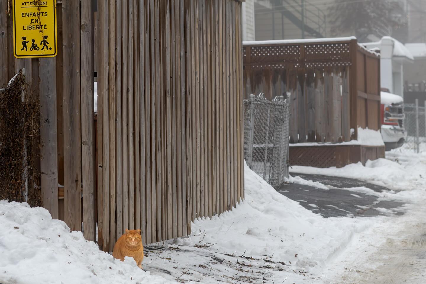 Photograph by Charlotte Gaillard