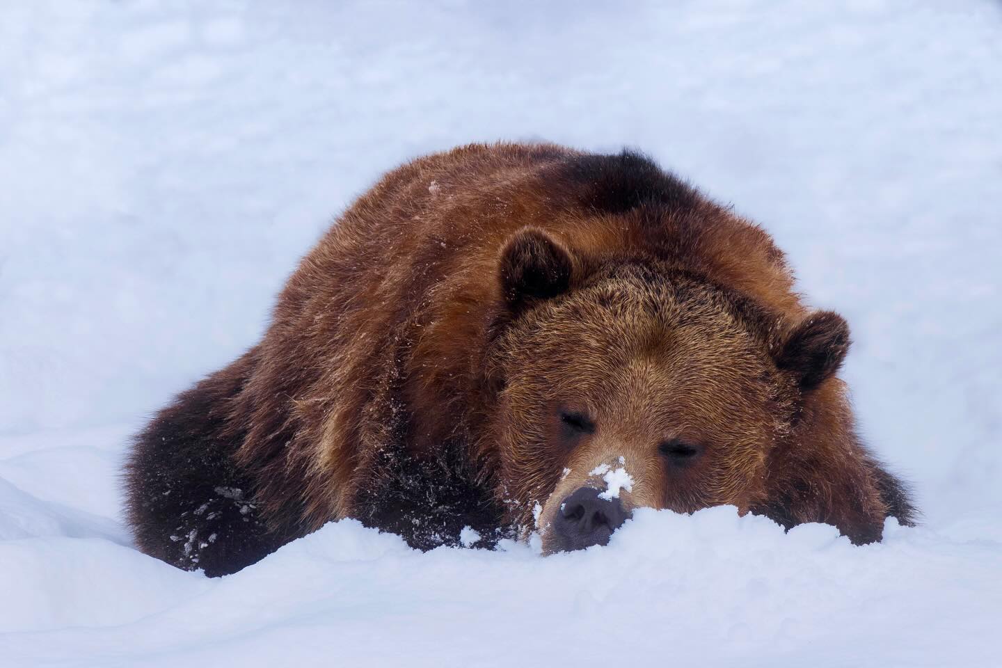 Photograph by Charlotte Gaillard