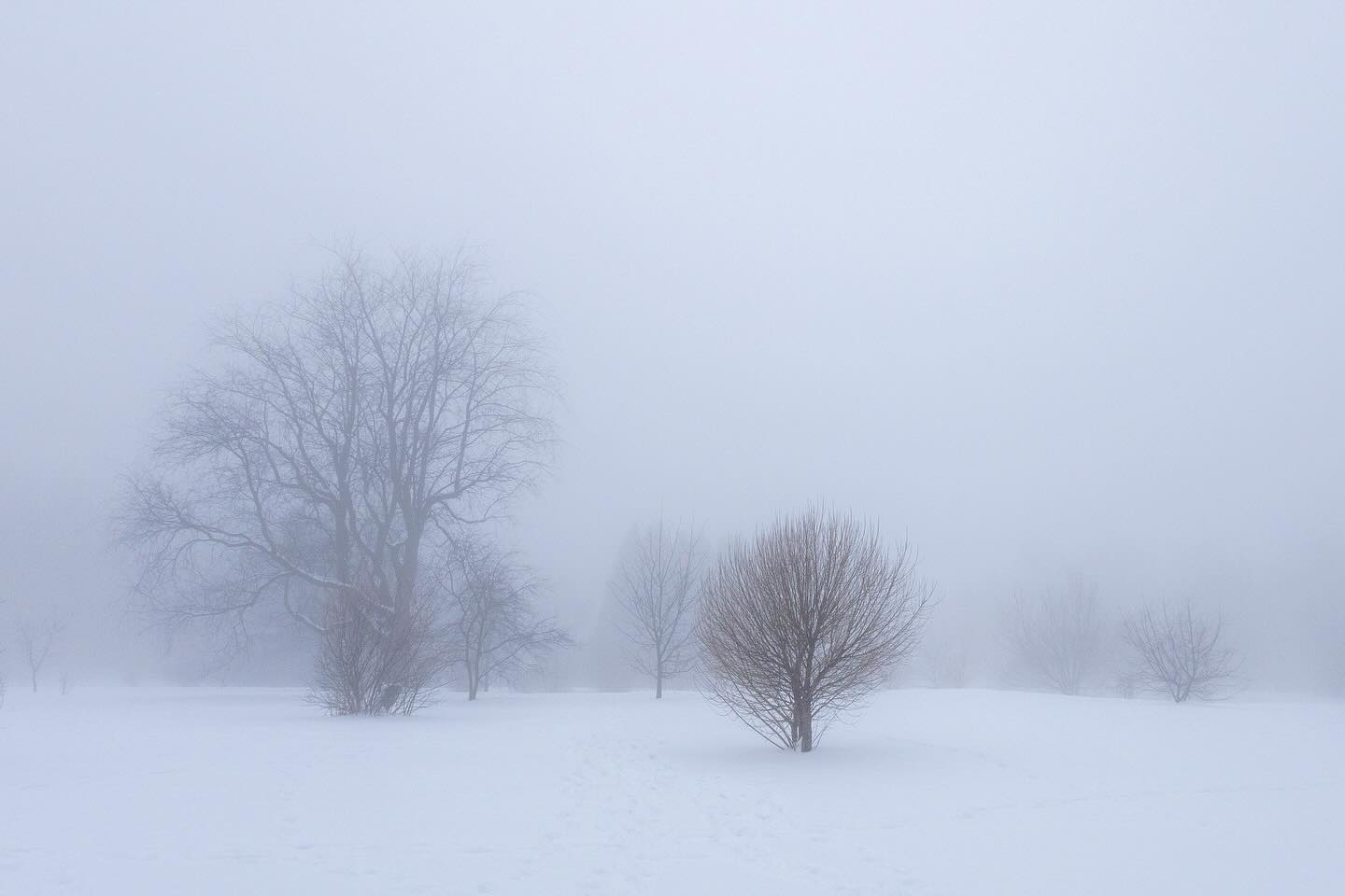 Photograph by Charlotte Gaillard