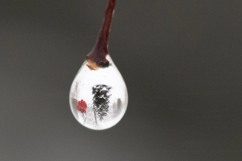 Photograph by Charlotte Gaillard