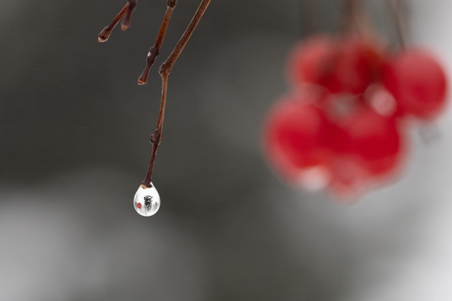 Photograph by Charlotte Gaillard