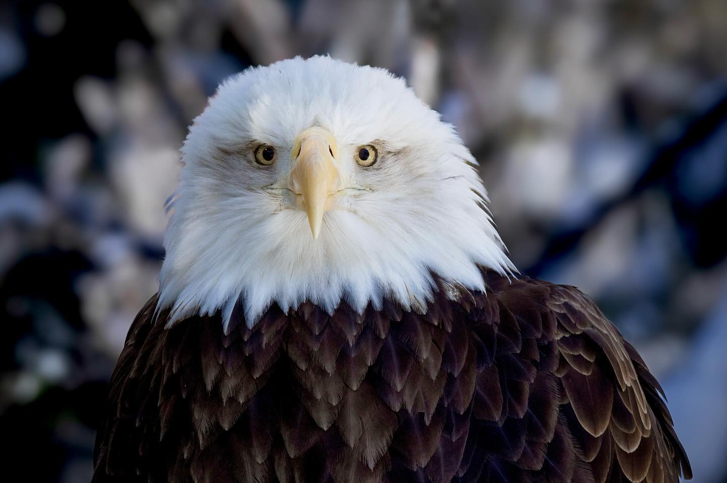 Photograph by Charlotte Gaillard