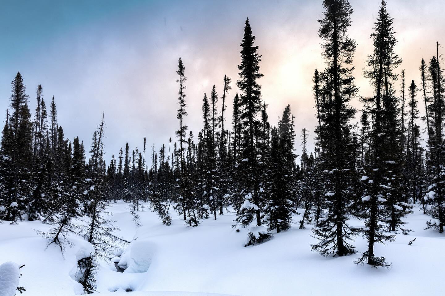 Photograph by Charlotte Gaillard