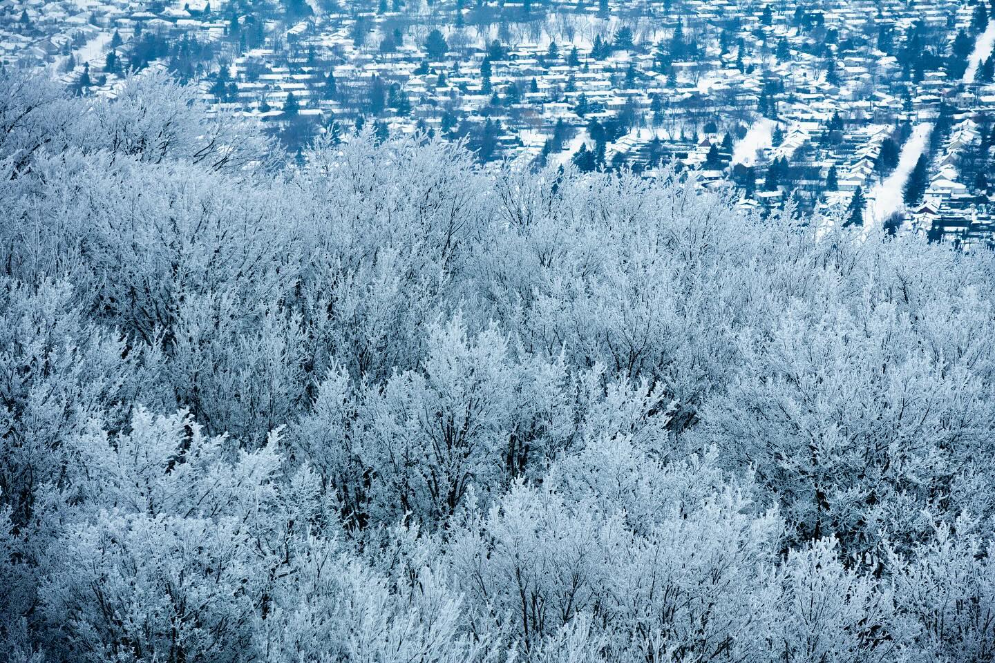 Photograph by Charlotte Gaillard