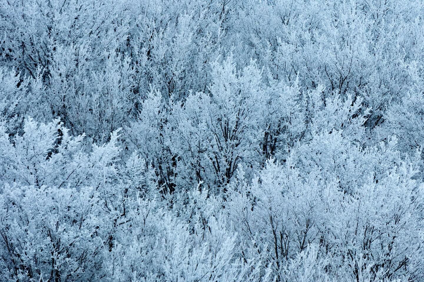 Photograph by Charlotte Gaillard