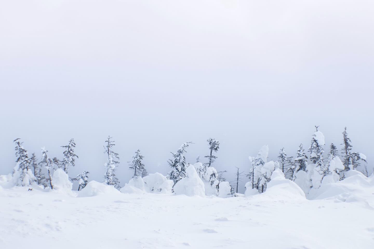 Photograph by Charlotte Gaillard