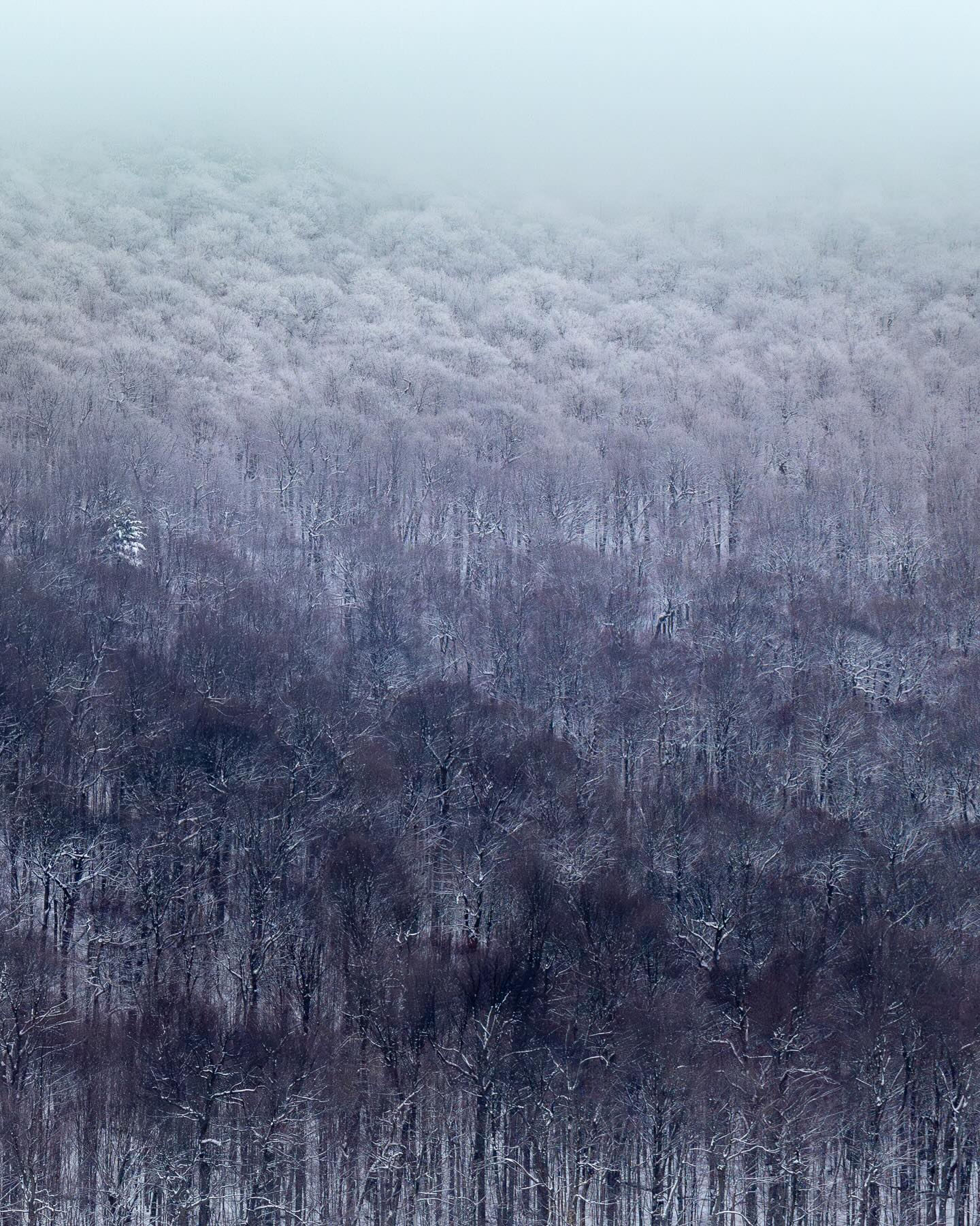 Photograph by Charlotte Gaillard