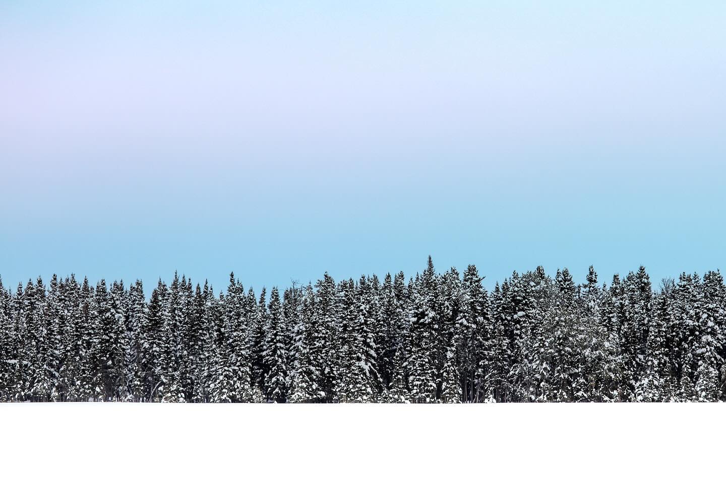 Photograph by Charlotte Gaillard