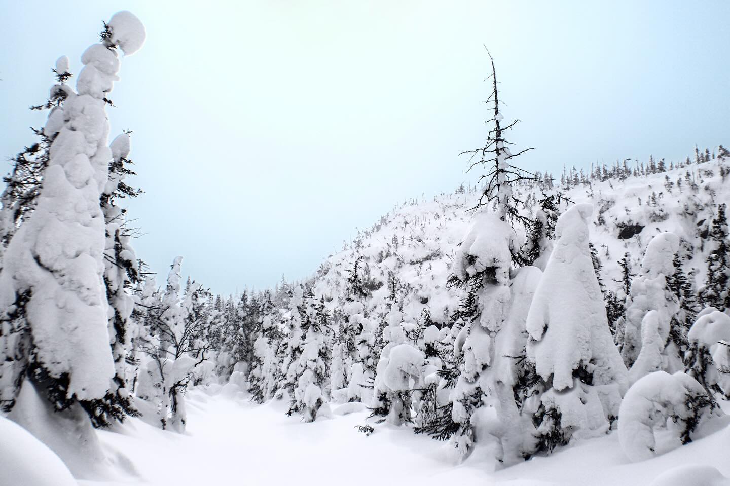 Photograph by Charlotte Gaillard