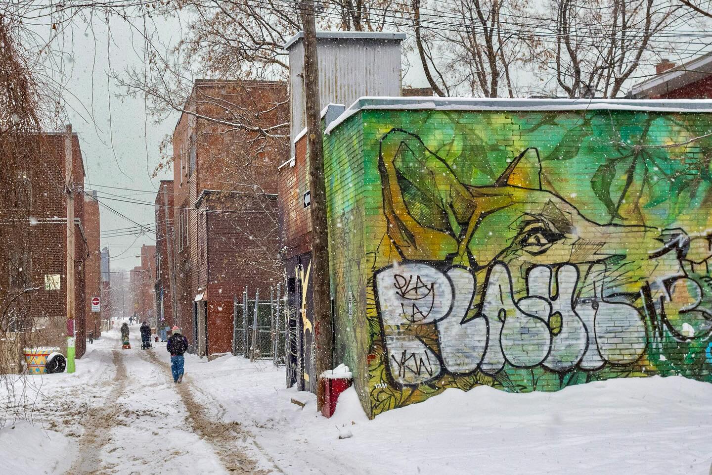 Photograph by Charlotte Gaillard