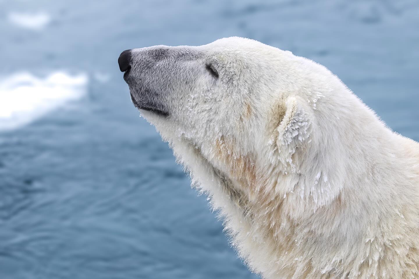 Photograph by Charlotte Gaillard