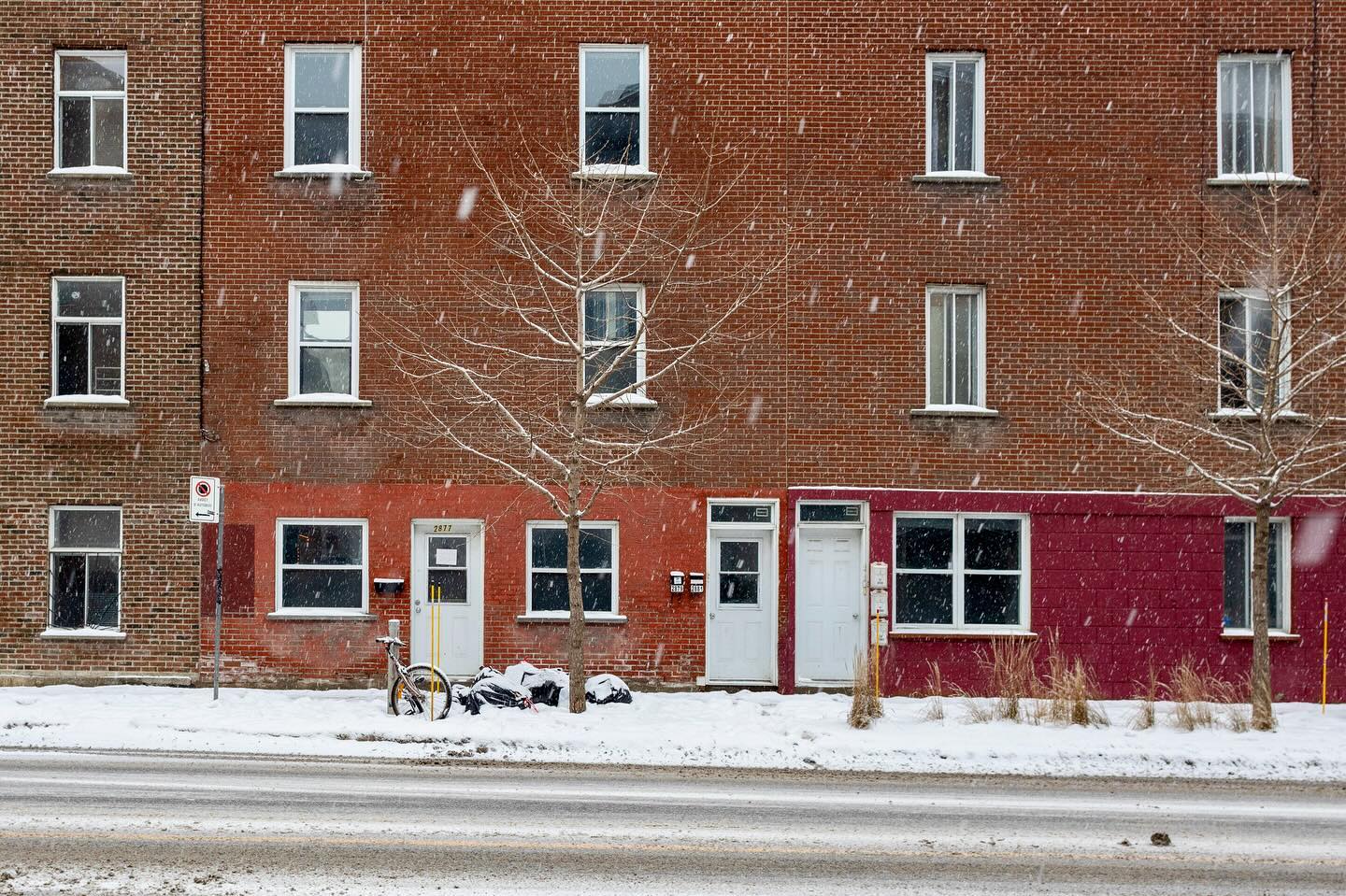 Photograph by Charlotte Gaillard