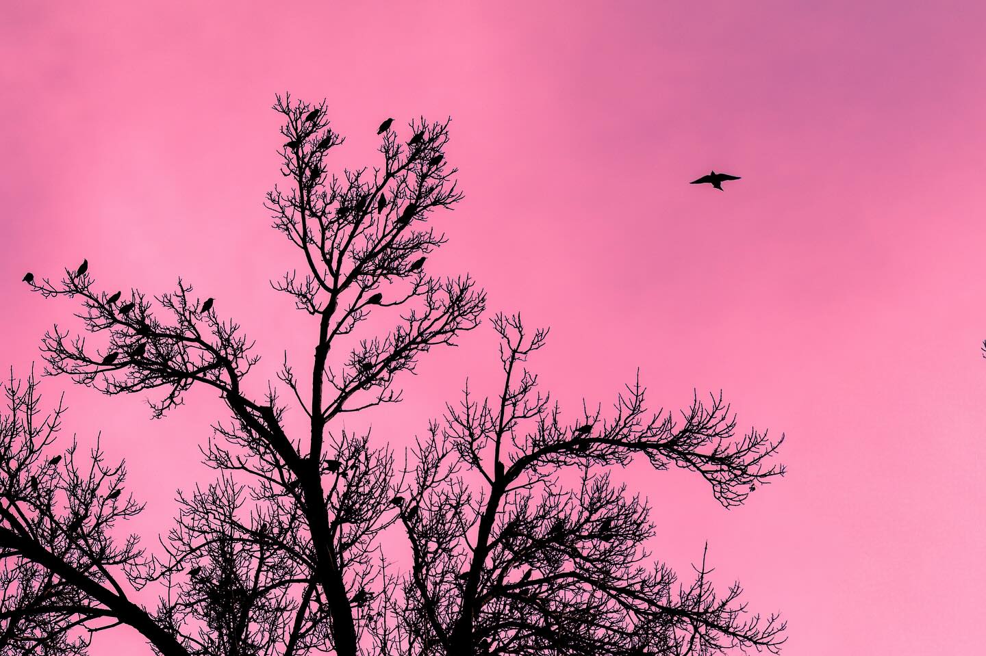 Photograph by Charlotte Gaillard