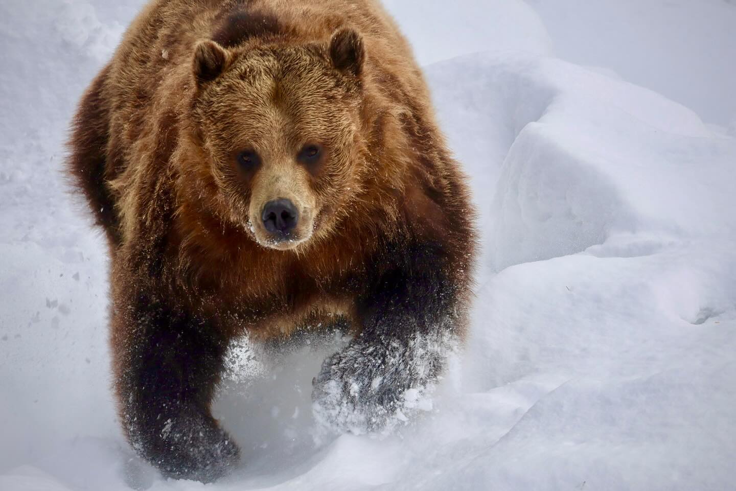 Photograph by Charlotte Gaillard