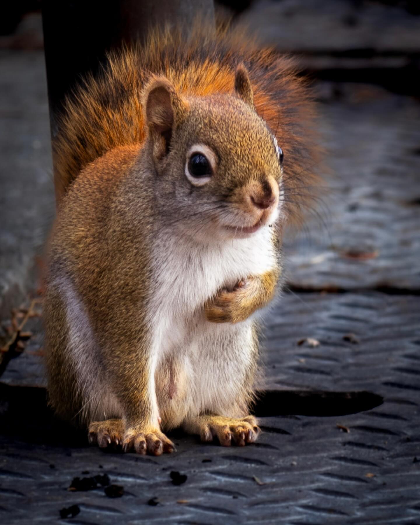 Photograph by Charlotte Gaillard