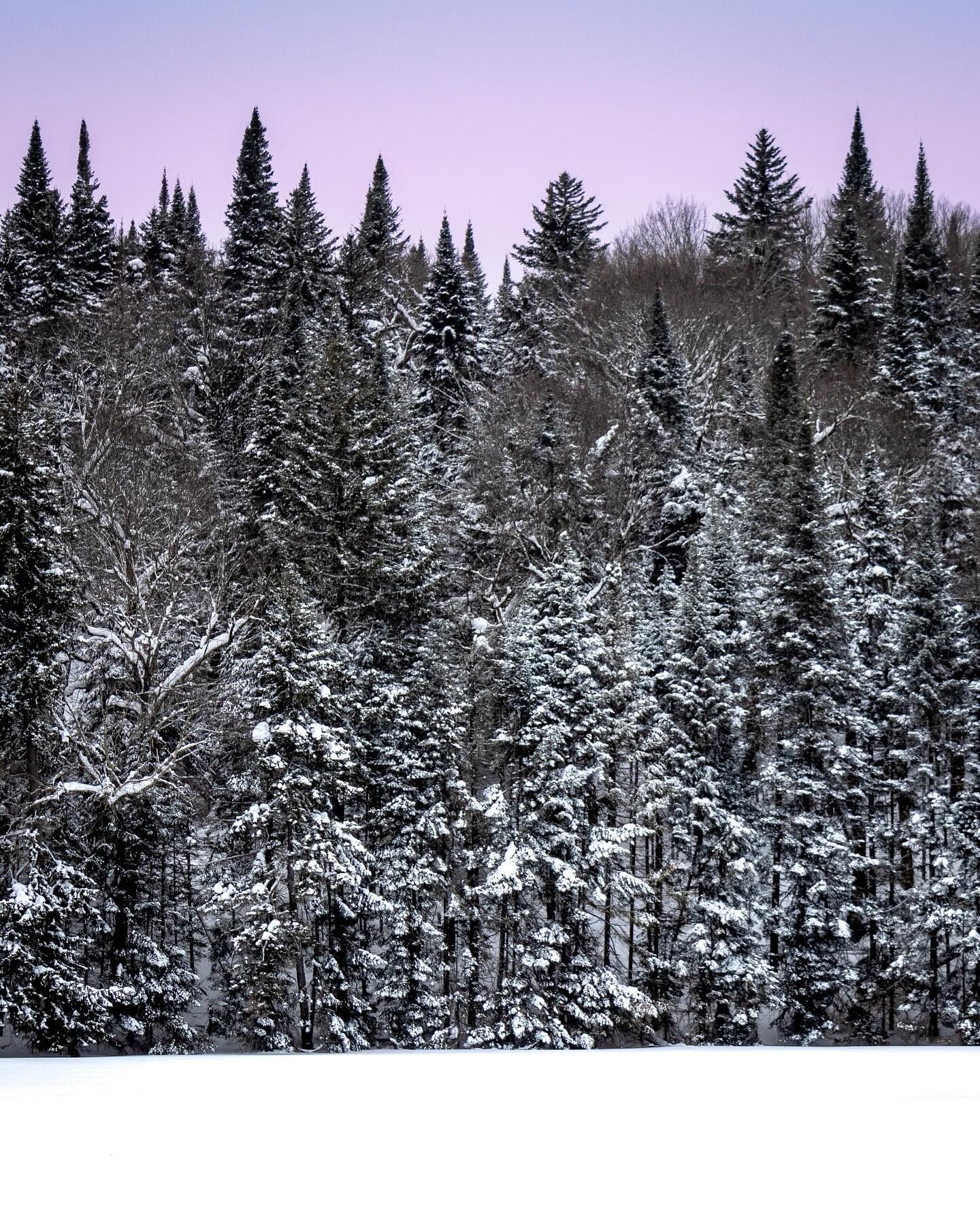 Photograph by Charlotte Gaillard