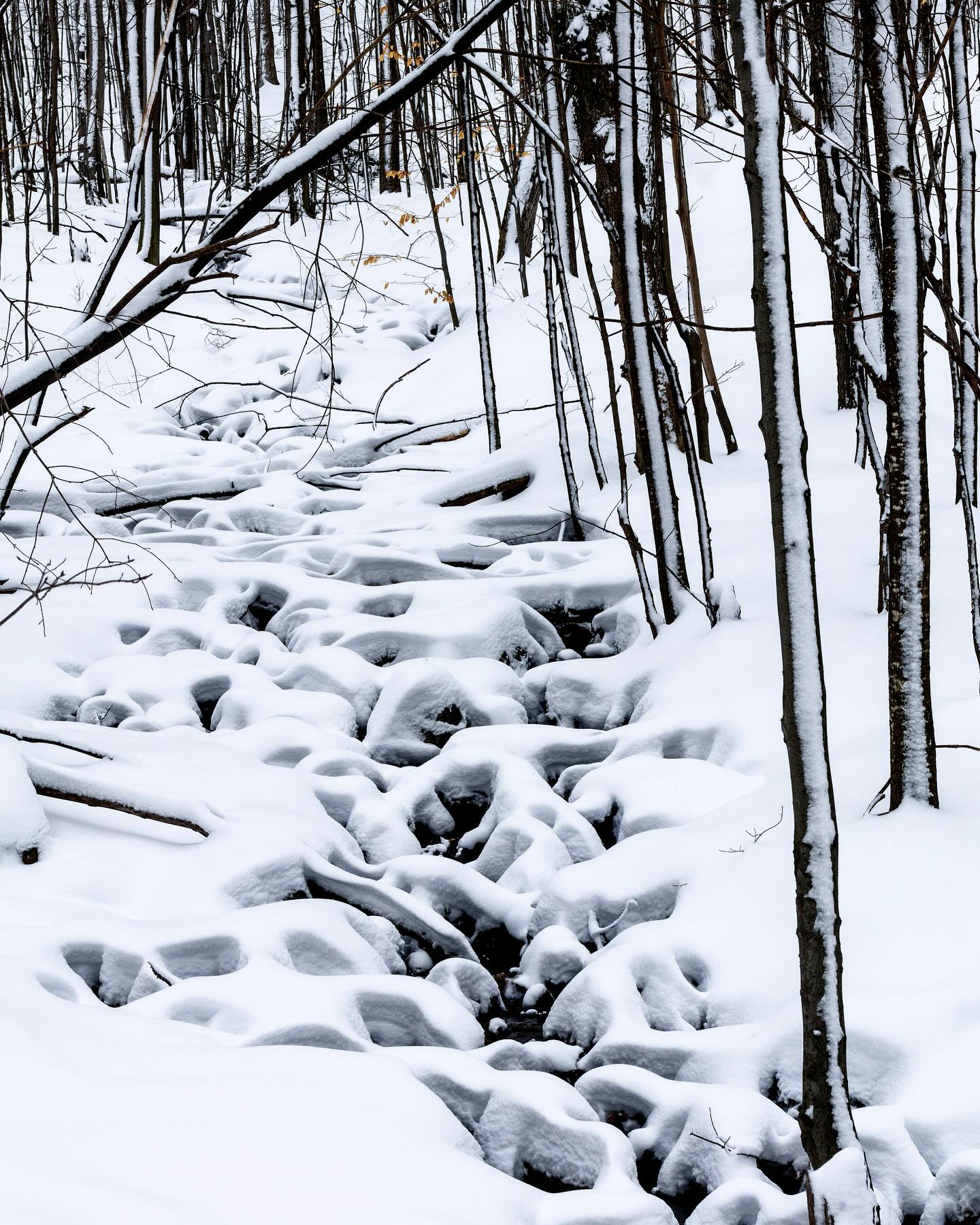 Photograph by Charlotte Gaillard