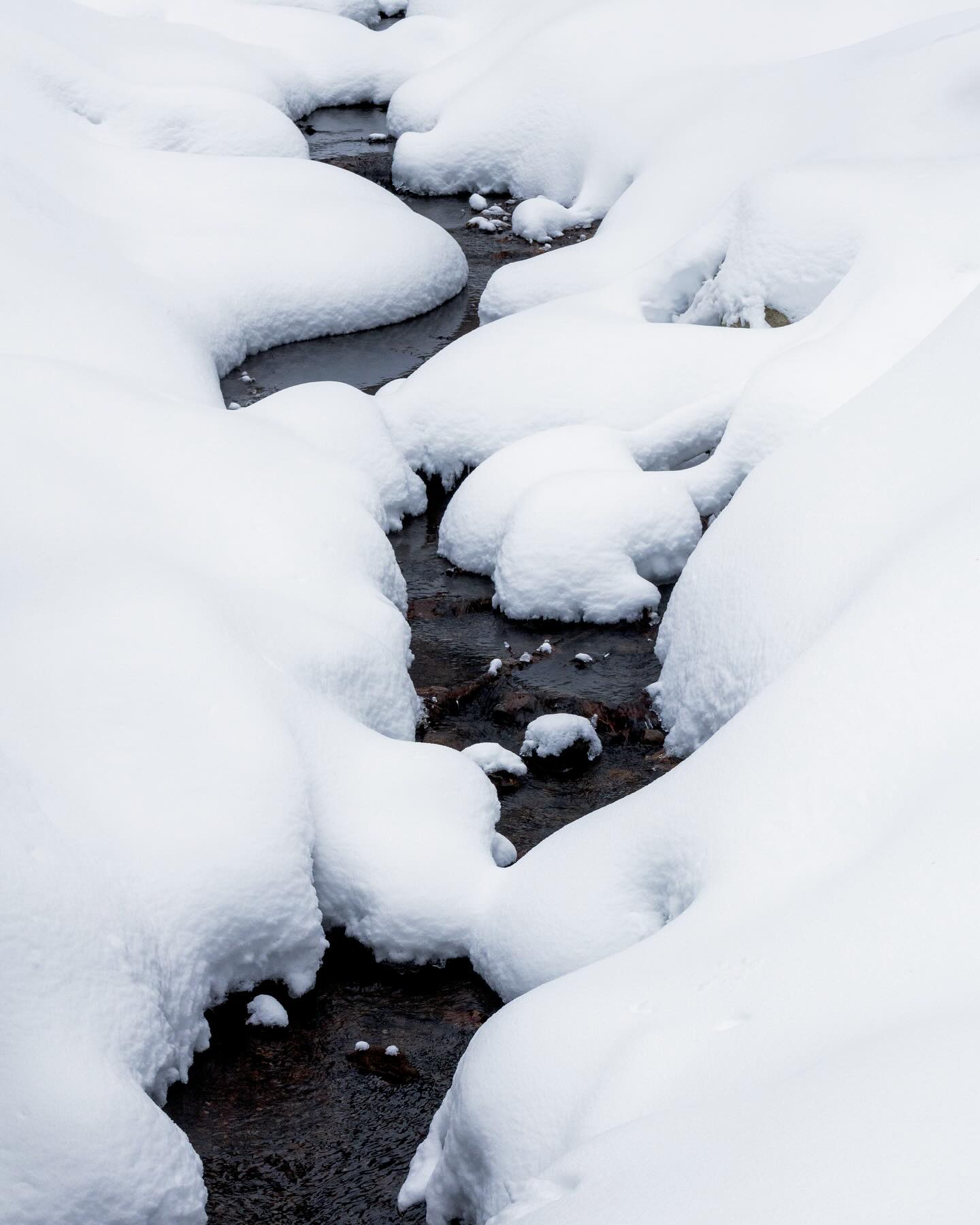 Photograph by Charlotte Gaillard