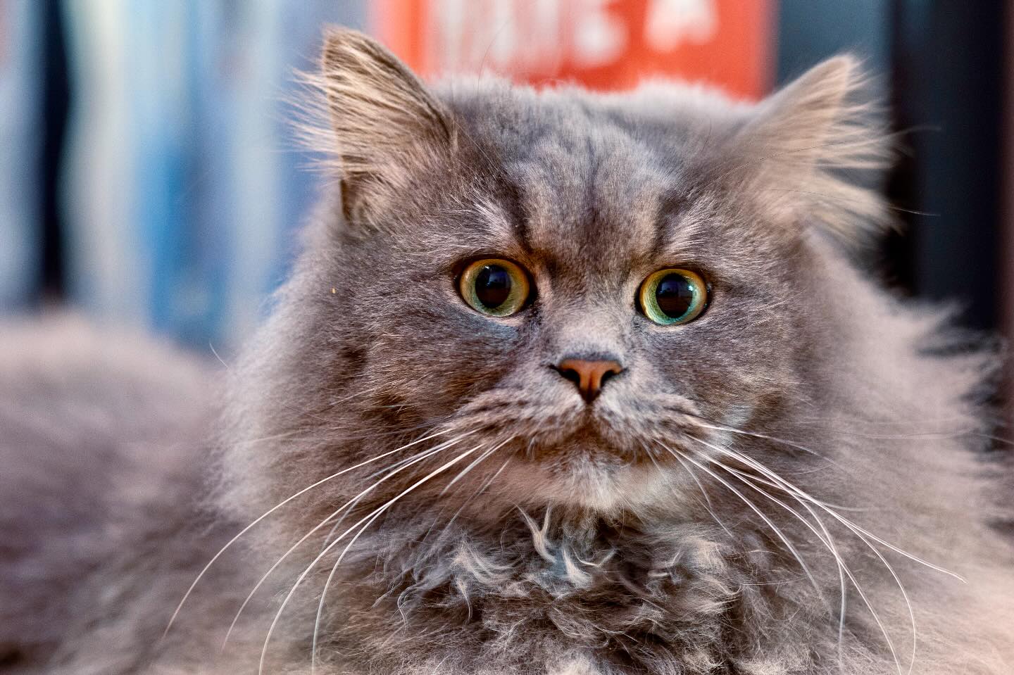 Photograph by Charlotte Gaillard