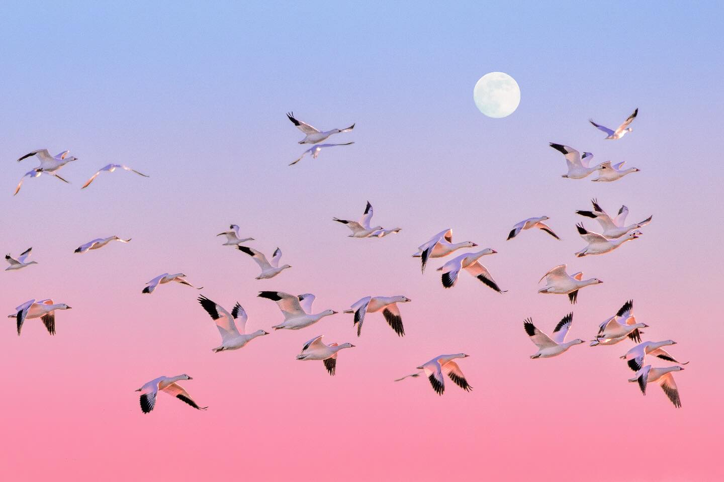 Photograph by Charlotte Gaillard