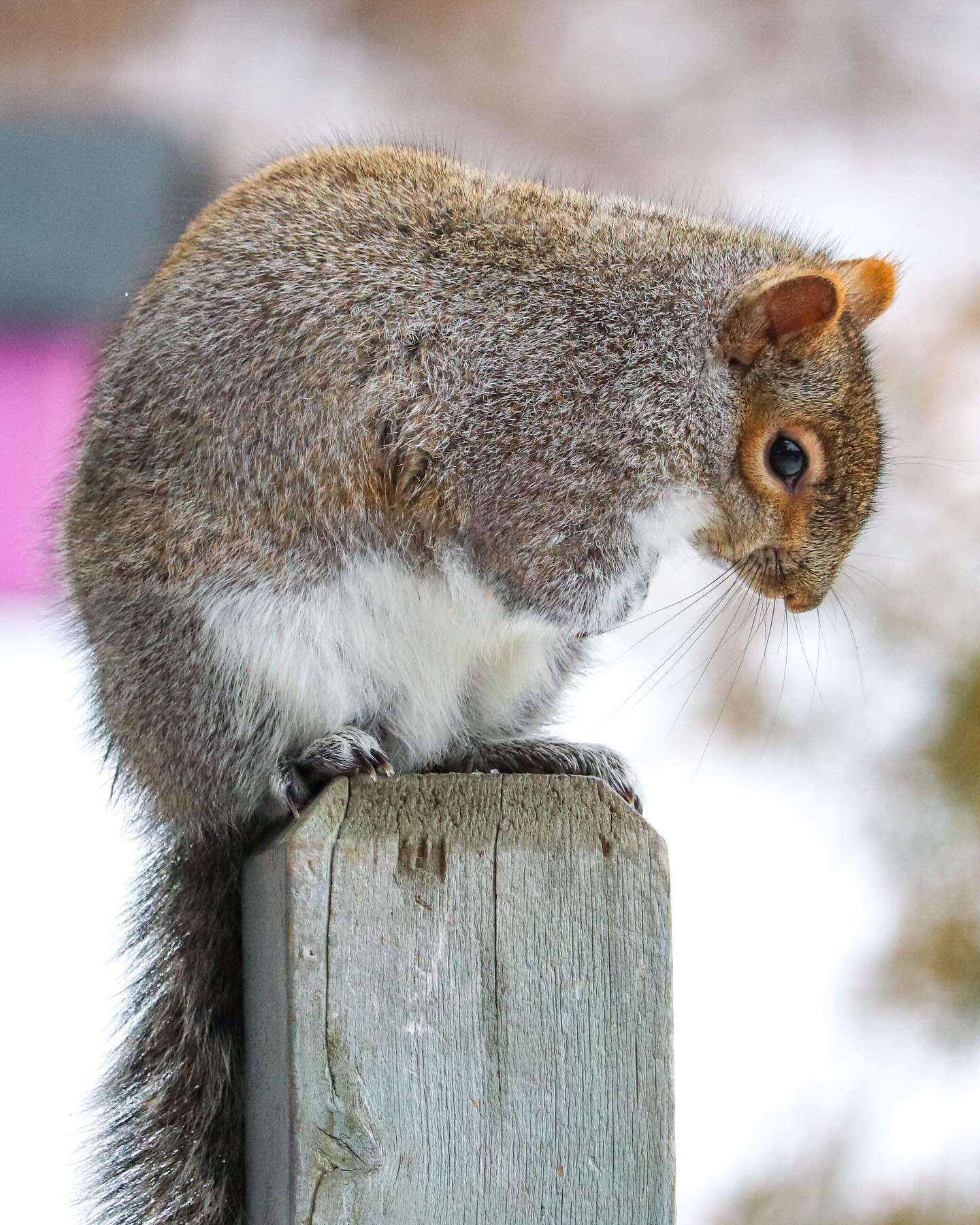 Photograph by Charlotte Gaillard