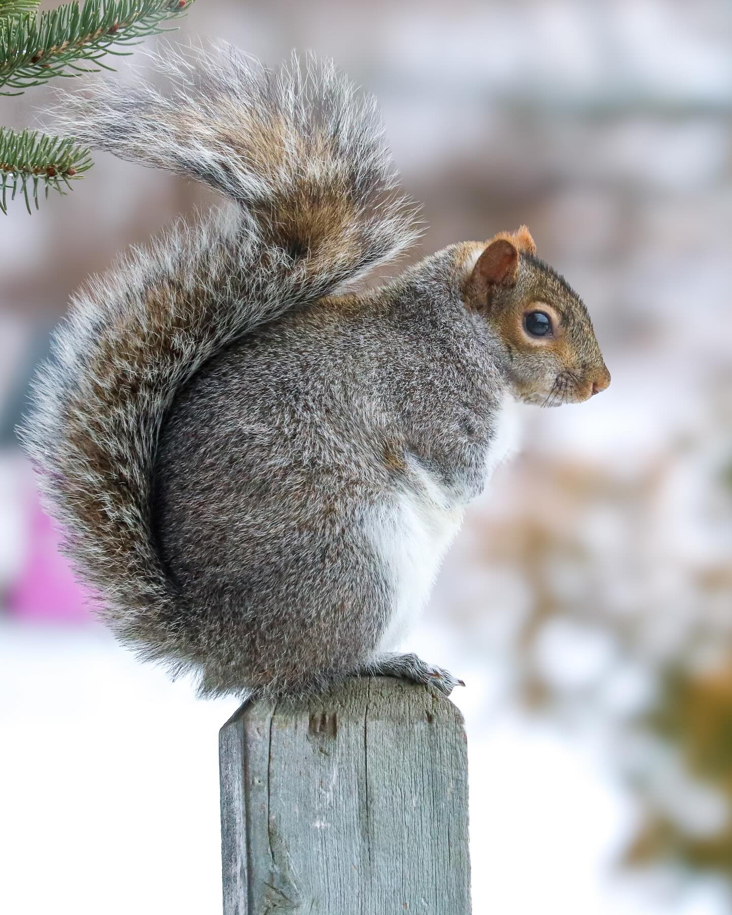 Photograph by Charlotte Gaillard