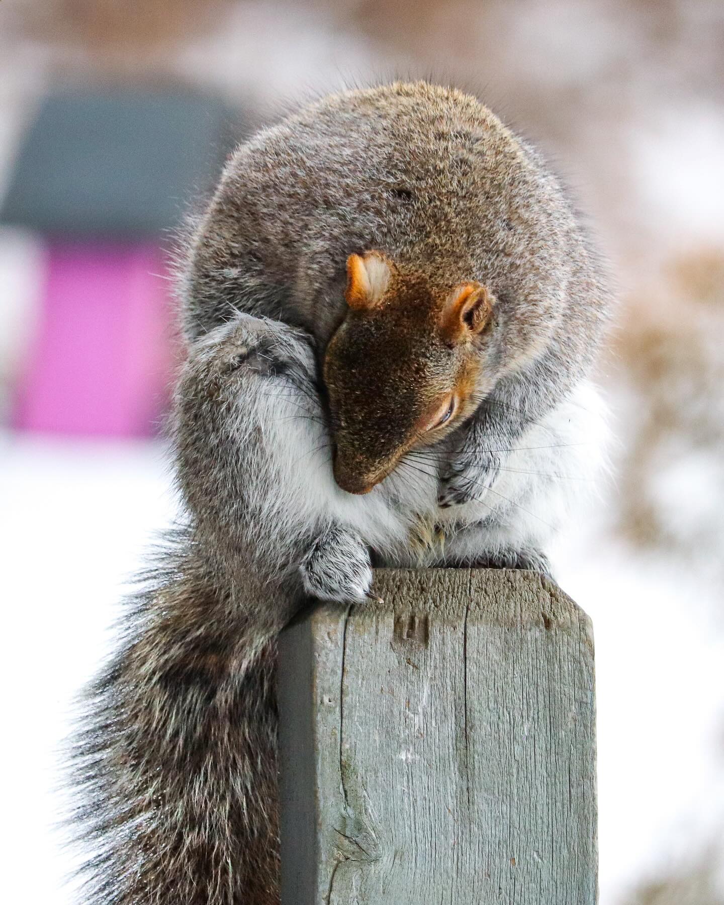 Photograph by Charlotte Gaillard