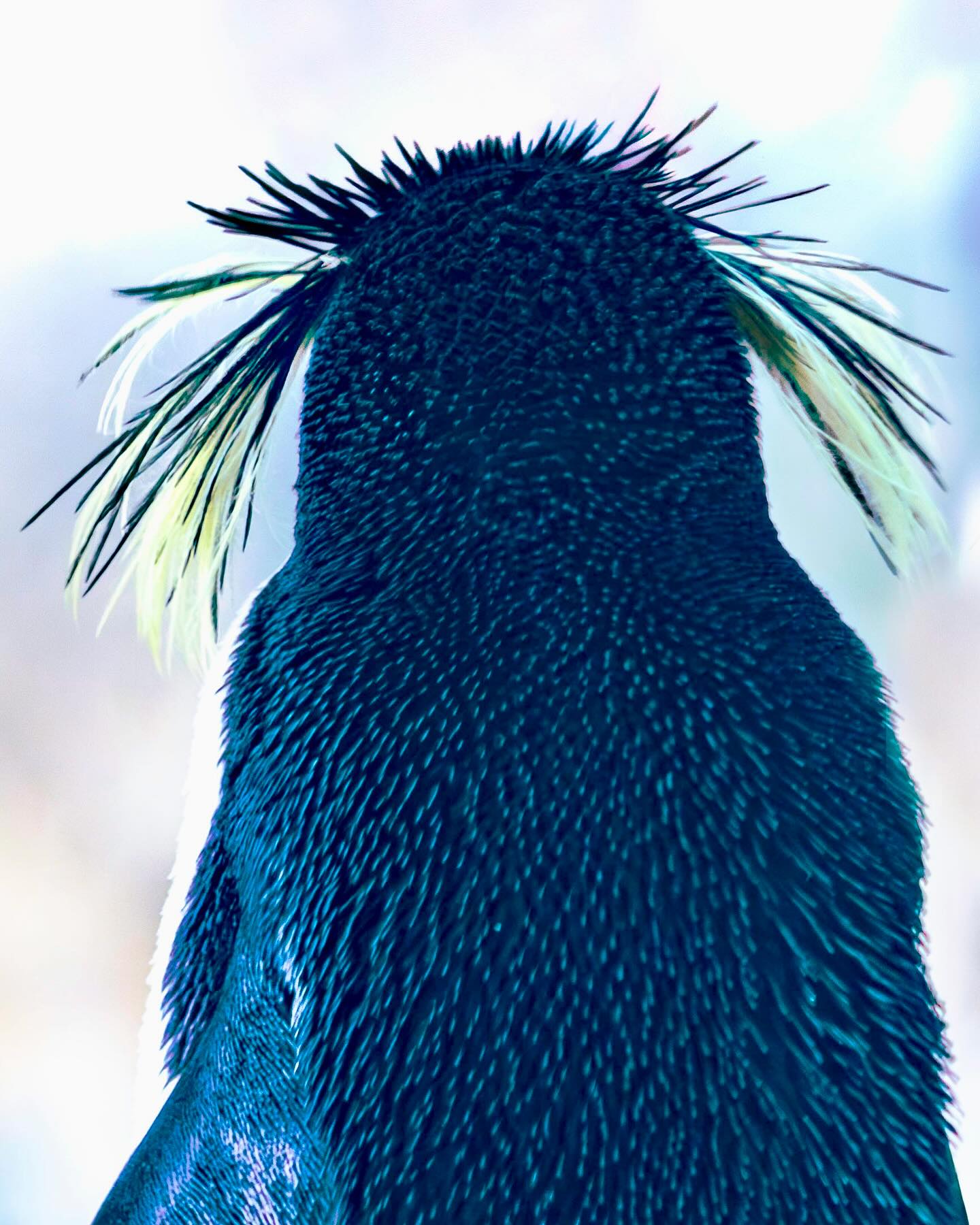 Photograph by Charlotte Gaillard