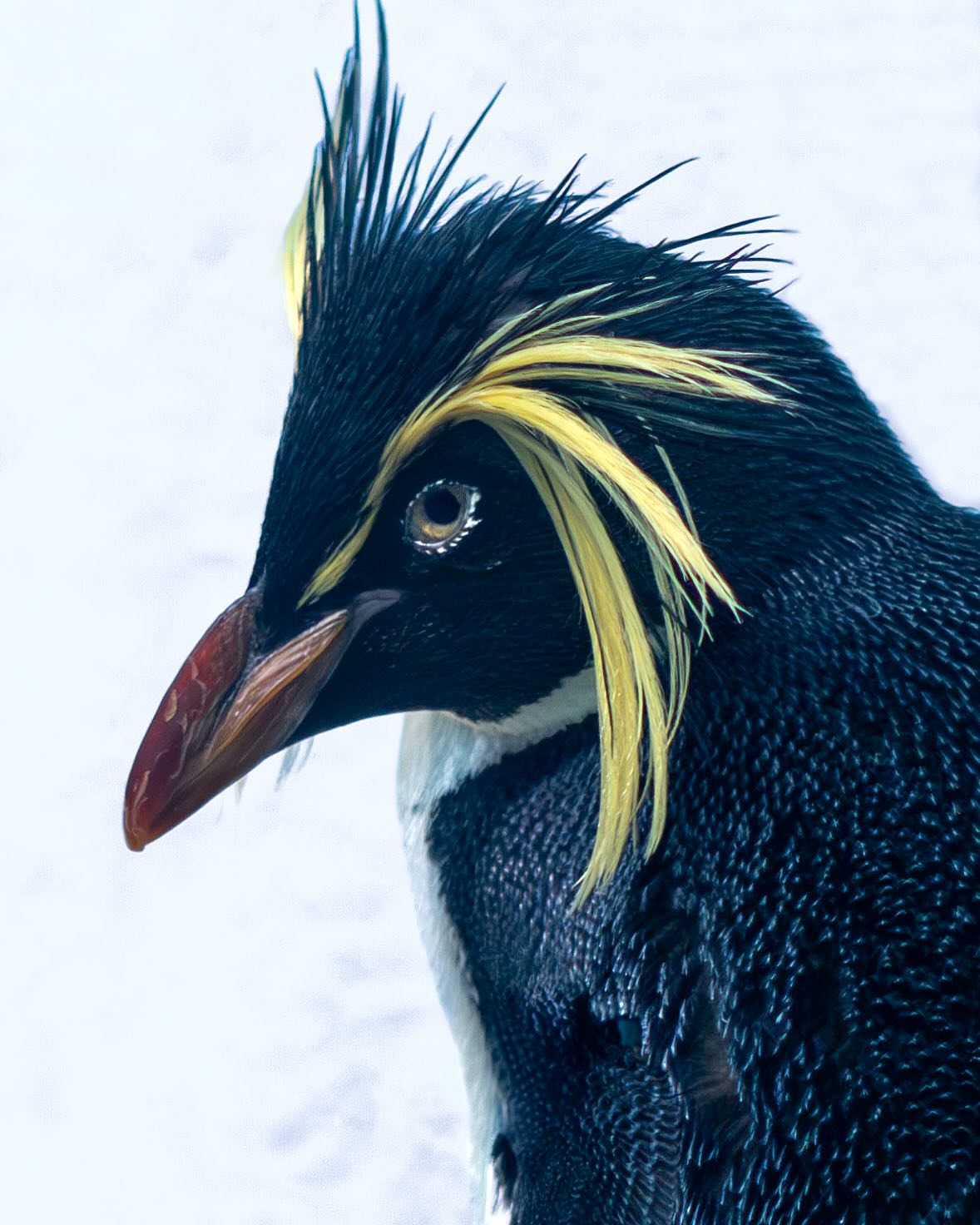 Photograph by Charlotte Gaillard